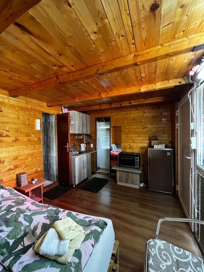 Kuca I Splav Na Reci Savi Villa Belgrad Dış mekan fotoğraf